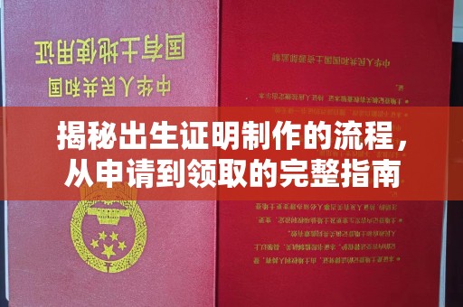 霍城揭秘出生证明制作的流程，从申请到领取的完整指南